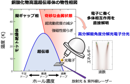 高温超伝導が生じる舞台となる「奇妙な金属状態」に光をあてる